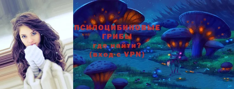 Галлюциногенные грибы Psilocybe Артёмовск